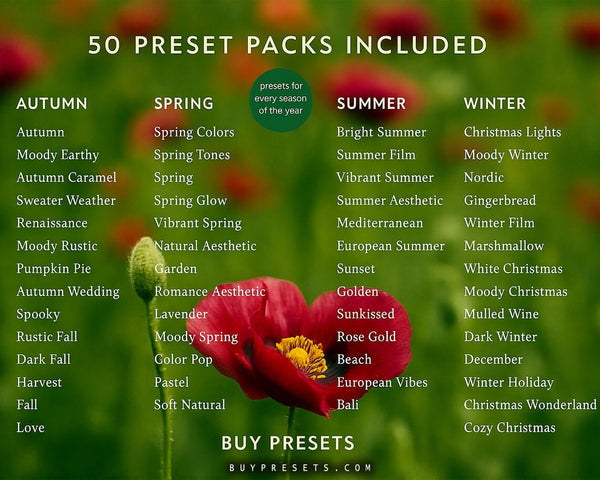 1700+ Lightroom Presets – All Seasons | Mobile & Desktop Filters for Summer, Spring & Beach Vibes - Buy Presets