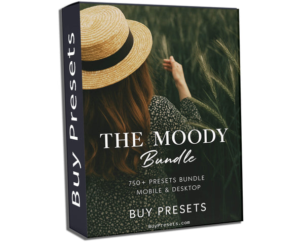 750+ Aesthetic Moody Presets – Lightroom Mobile & Desktop Bundle